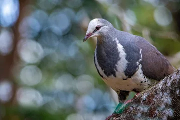 ca5e33_46c18c616982489dbac06b0cbf0b80e0~mv2