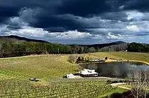 ca5e33_d491d9437a224a4a98a9bdfa2e0a76be~mv2