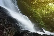 th_id=OSK_HEROeQ-qyjeGdu46PJ1jdXE3X1EW_RFL6uKKmMAhToHaoZI&w=312&h=200&c=15&rs=2&r=0&o=6&dp